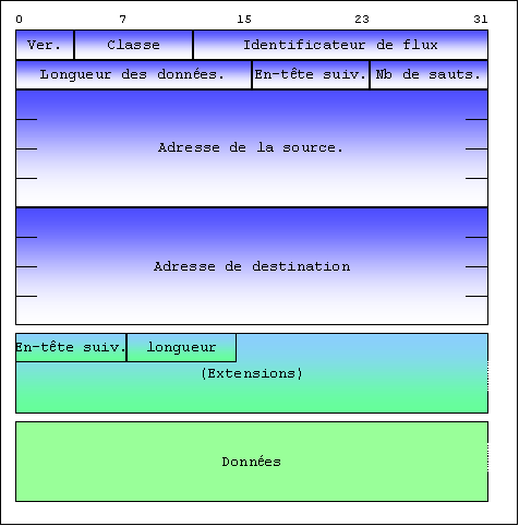 datagram_ipv6.png