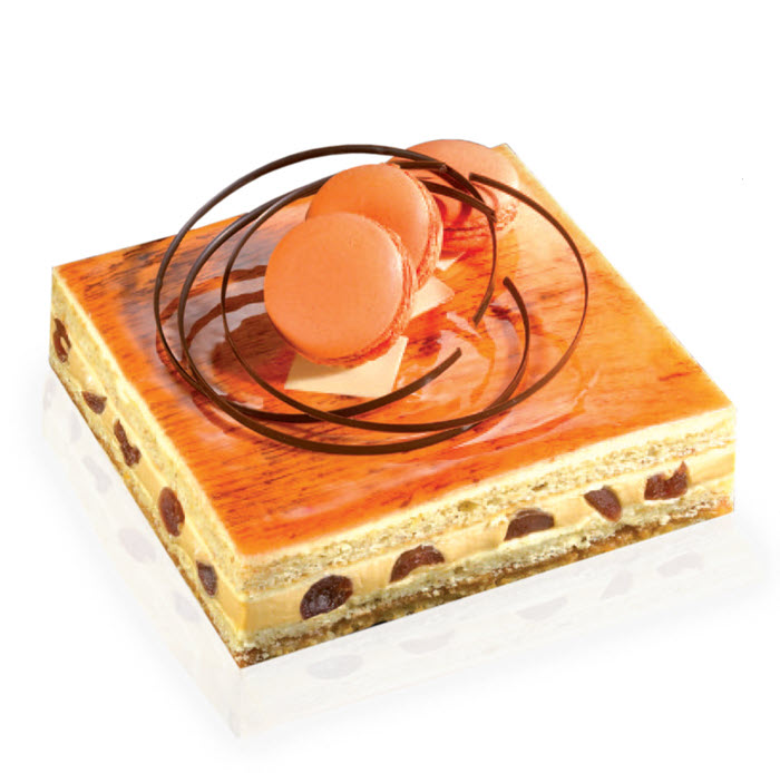 Entremet Orange Noisette